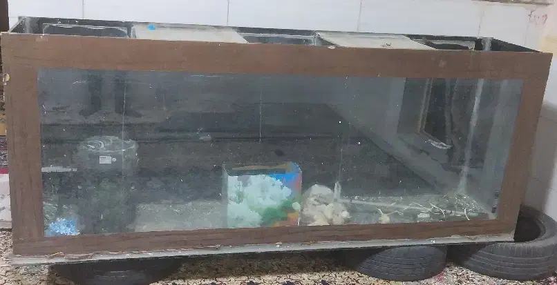 دوچرخه پوما حرفه ای. و آکواریوم|دوچرخه، اسکیت، اسکوتر|بم, |دیوار