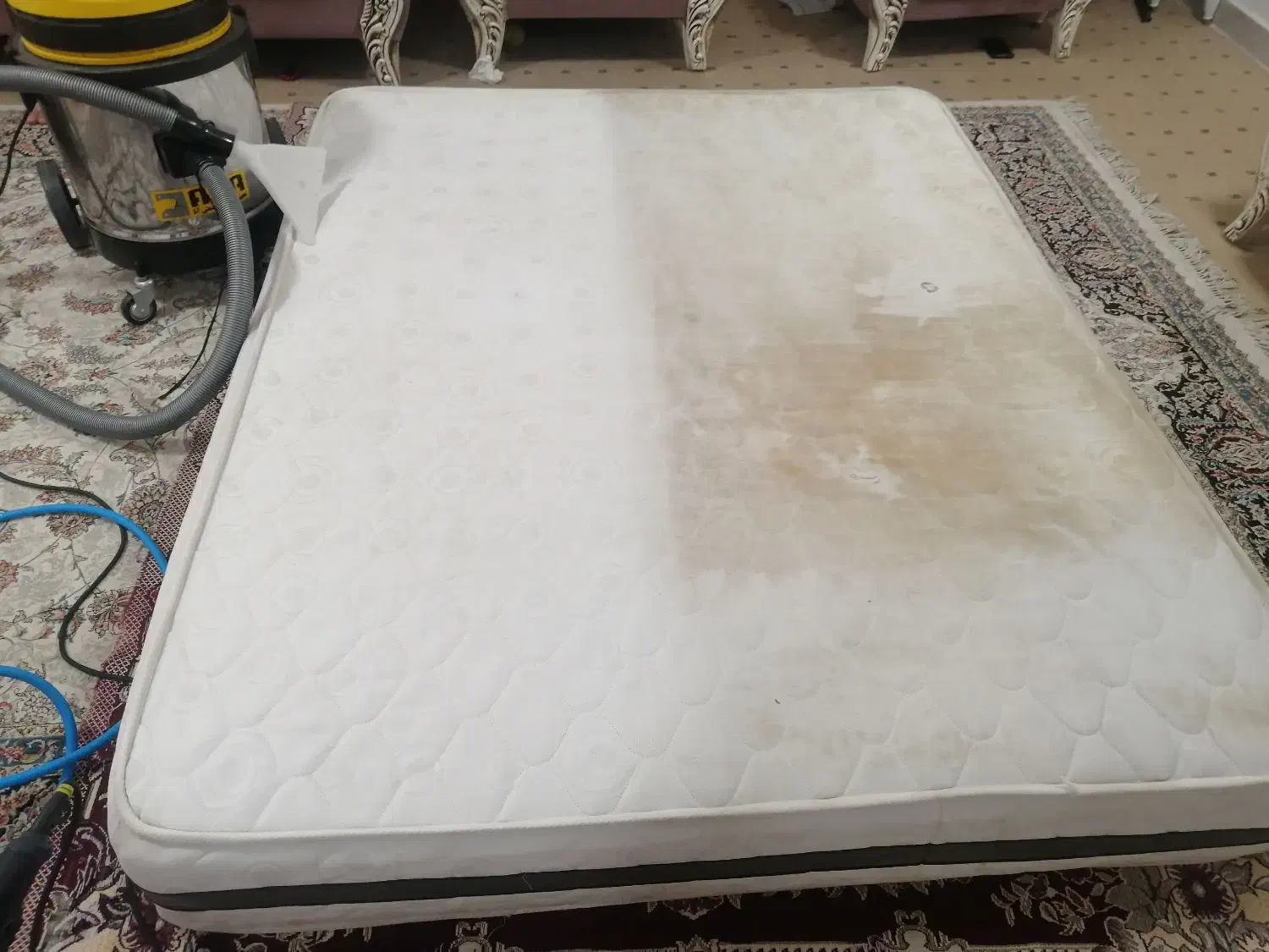 مبل شویی حسام با تخفیف ویژه|خدمات نظافت|بوشهر, |دیوار