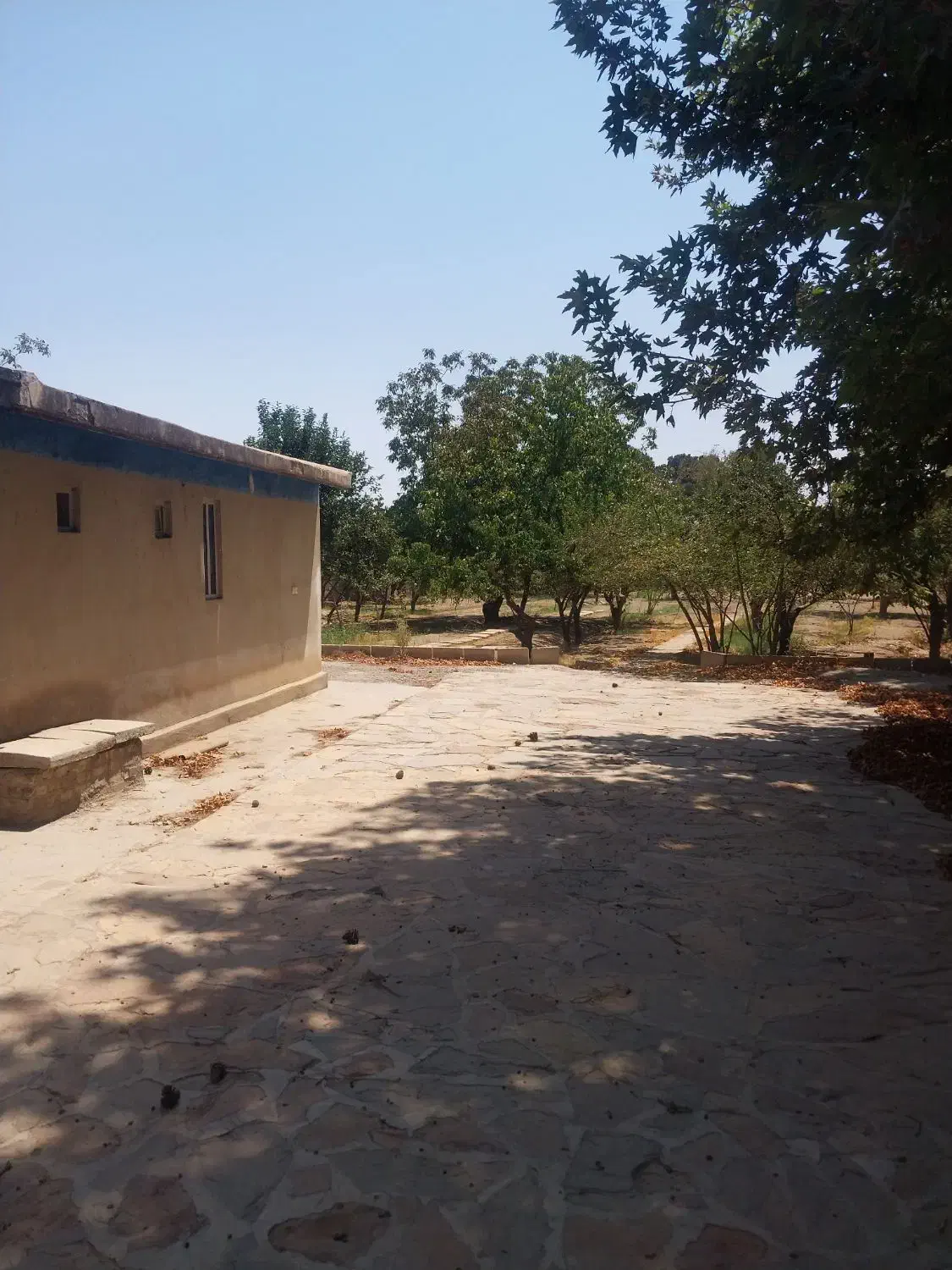 ۴۶۰۰متر باغ سند تک برگ عباس آباد|فروش زمین و ملک کلنگی|محمدشهر, عباس آباد|دیوار