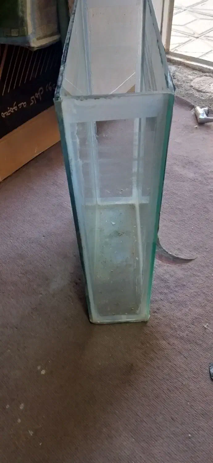 اکواریوم|ماهی|قوچان, |دیوار