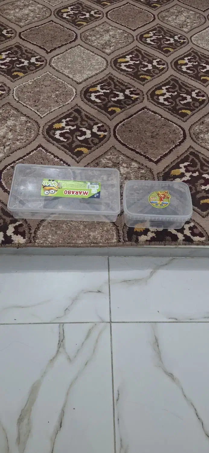 ظروف پلاستیکی|ظروف نگهدارنده، پلاستیکی، یک‌بارمصرف|اردبیل, |دیوار