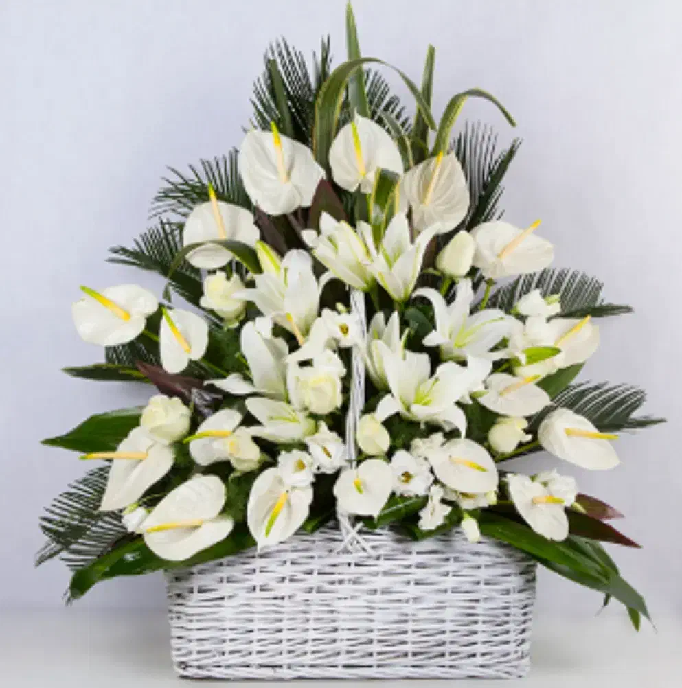 تشریفات (ترحیم ، تولد، پذیرایی و میزآرایی مراسمات)|خدمات پذیرایی، مراسم|مشهد, احمدآباد|دیوار