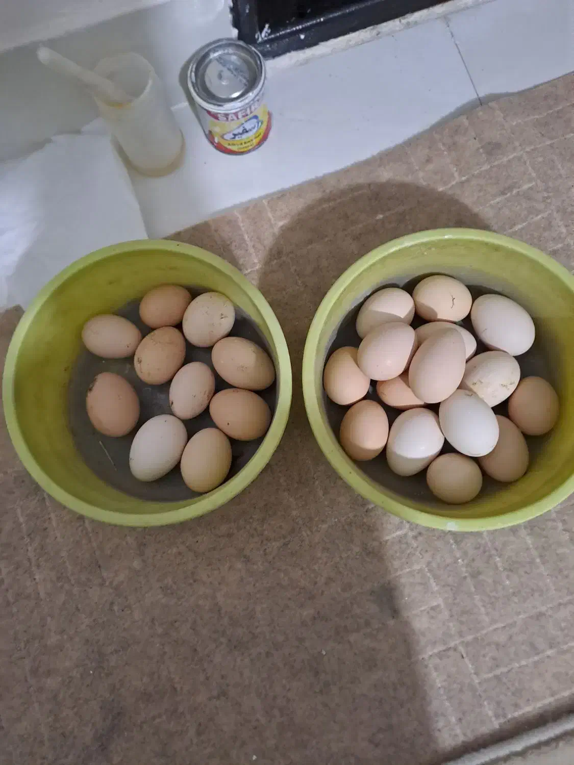 فروش تخم مرع ارگانیک وطبیعی|خوردنی و آشامیدنی|نوشین شهر, |دیوار