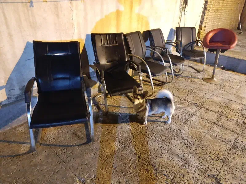 صندلی|صندلی و نیمکت|اهواز, کوی ترابری|دیوار