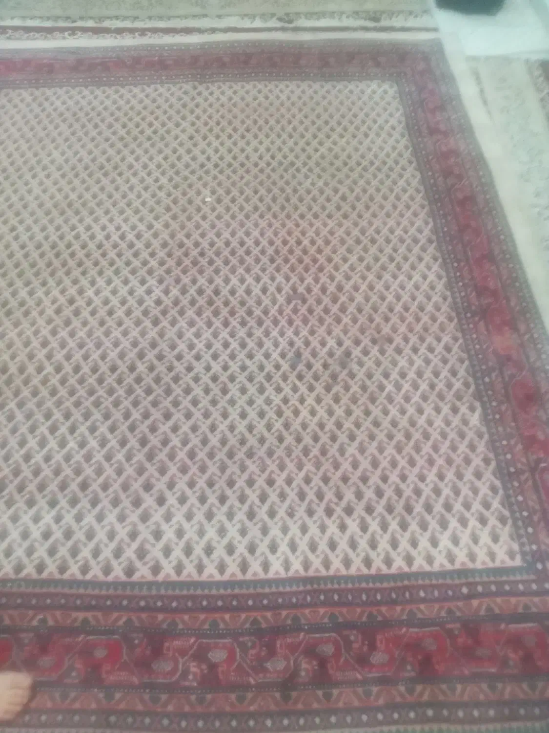 فرش ۶متری دستباف|فرش|بومهن, |دیوار