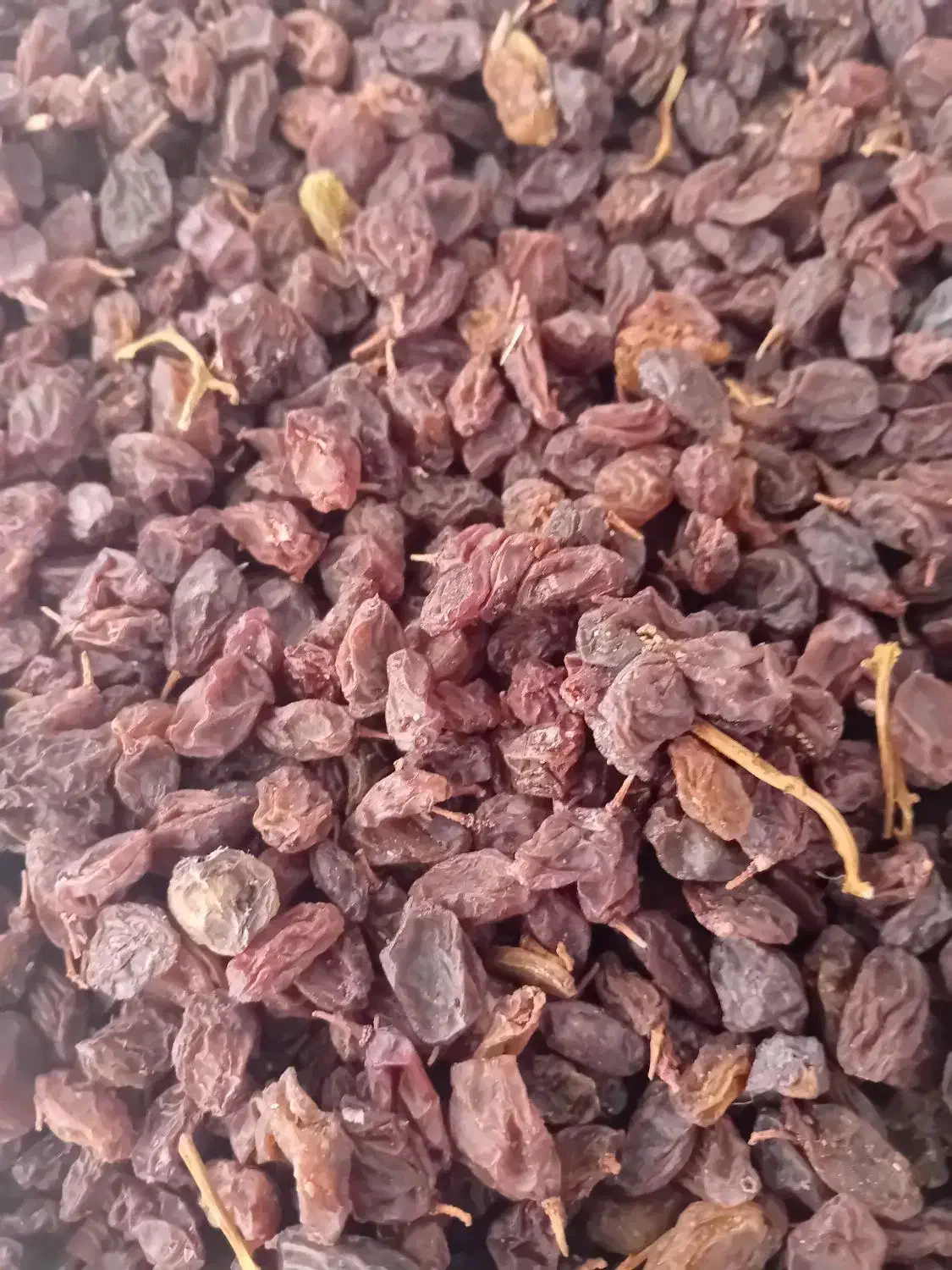 کارگاه تولید و بسته بندی کشمش|خوردنی و آشامیدنی|ملکان, |دیوار