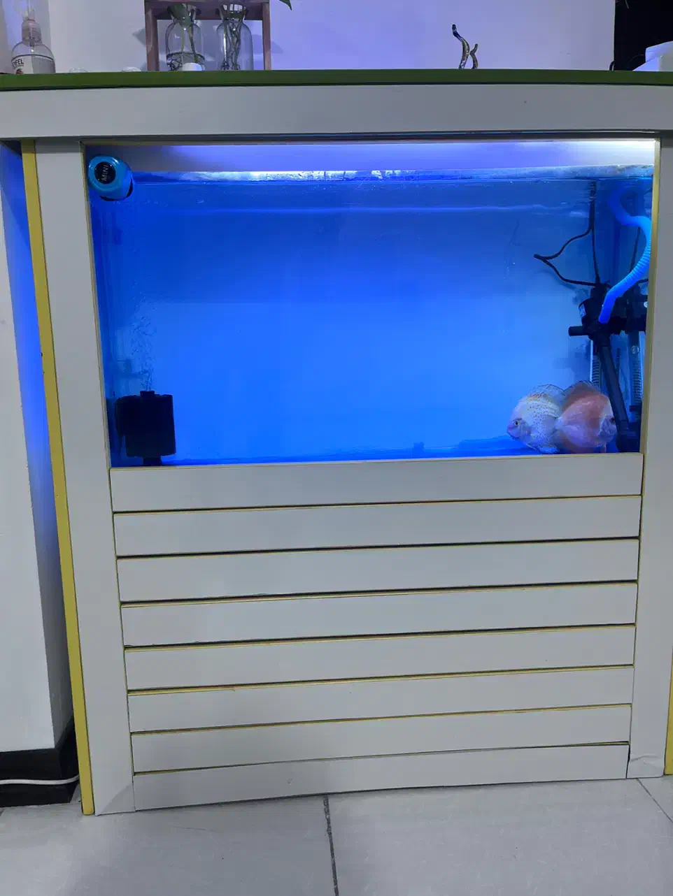 اکواریوم یک متری مجهز|ماهی|خرمآباد, |دیوار