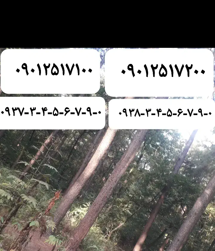 سیم کارت رند ایرانسل|سیم‌کارت|قم, زنبیل آباد|دیوار