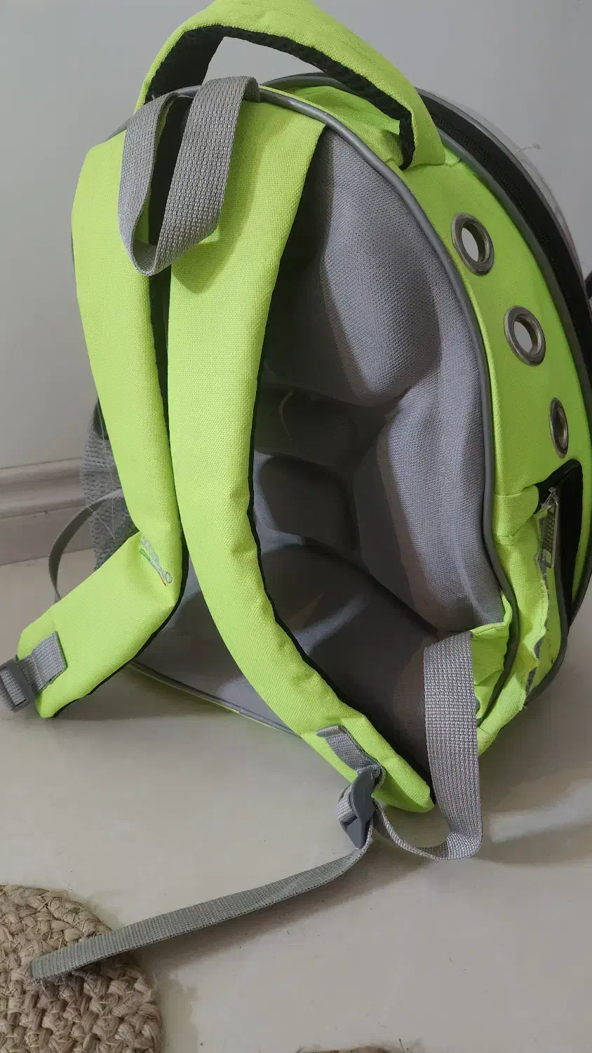 کوله حمل حیوانات|لوازم جانبی حیوانات|مشهد, آبادگران|دیوار