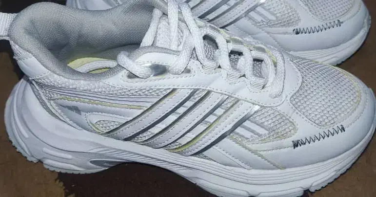 کفش|کیف، کفش، کمربند|یاسوج, |دیوار