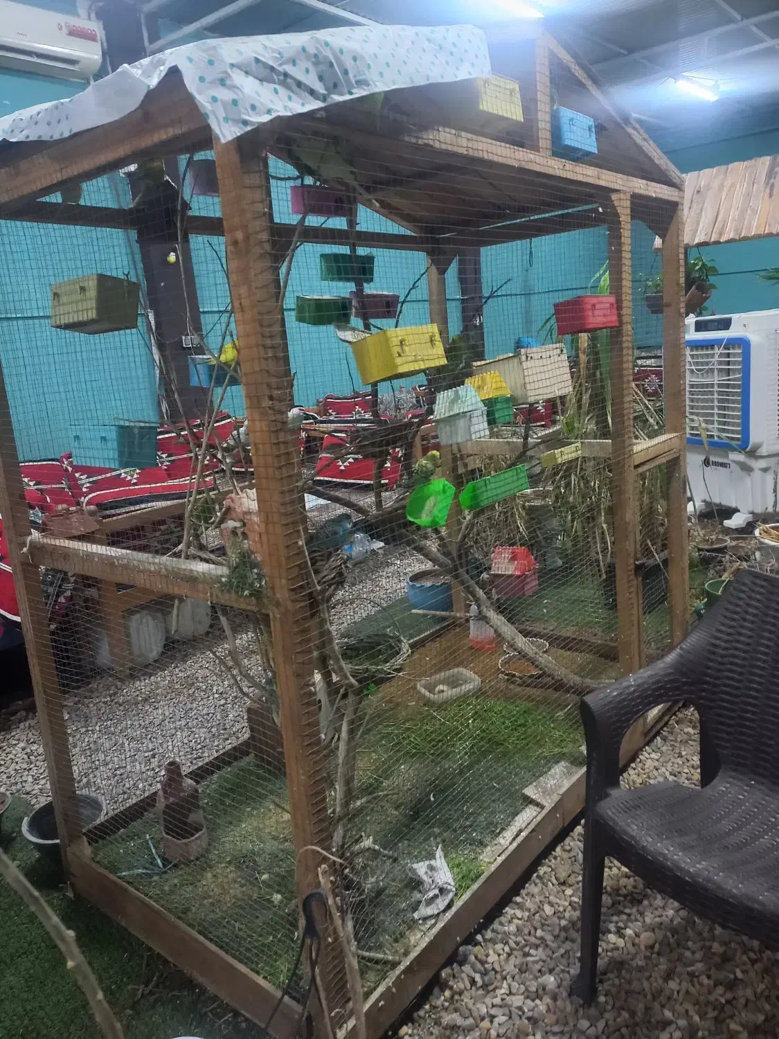 قفس به همراه تمام پرنده ها و وسایلشون|پرنده|بندر ماهشهر, |دیوار