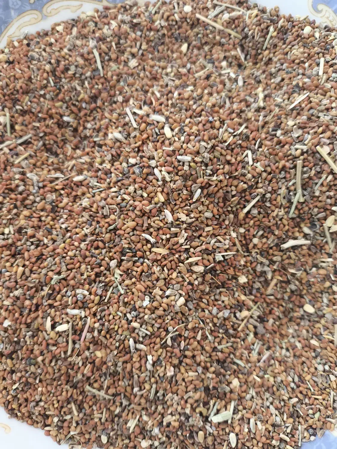 بذر یونجه درجه 3|عمدهفروشی|بناب, |دیوار