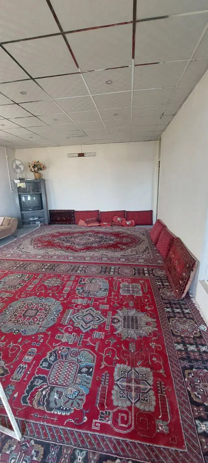 باغ فارس مبین سیاخ دارنگون|فروش زمین و ملک کلنگی|شیراز, لاله|دیوار