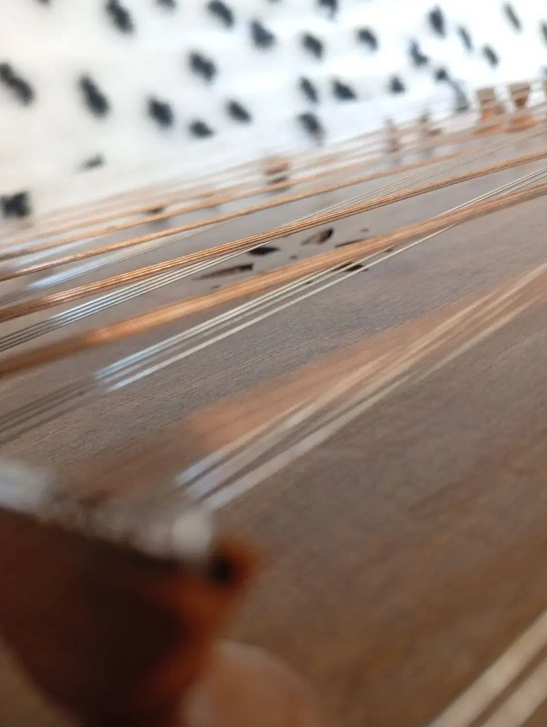 سنتور مارک زارعی با جعبه حمل|سازهای سنتی|بانه, |دیوار