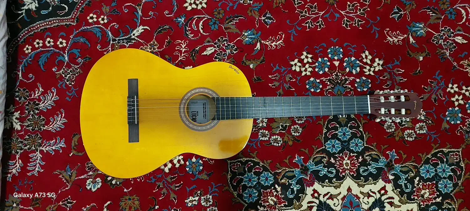 گیتار|گیتار، بیس، امپلیفایر|نجف‌آباد, گلدشت|دیوار