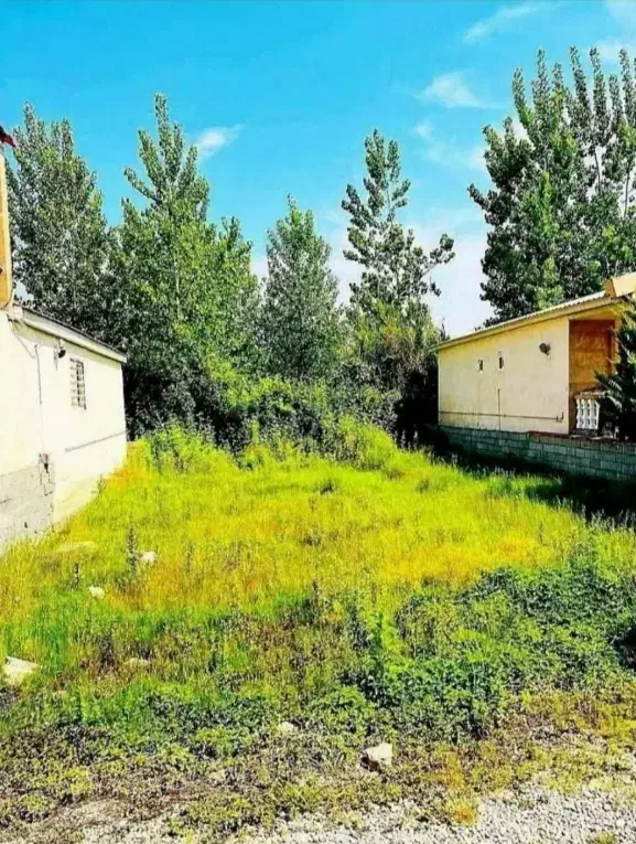 زمین۲۴۰مترزمین/شهرکی تهرانی نشین*سنددار/ویو۳۶۰درجه|فروش زمین و ملک کلنگی|چمستان, |دیوار