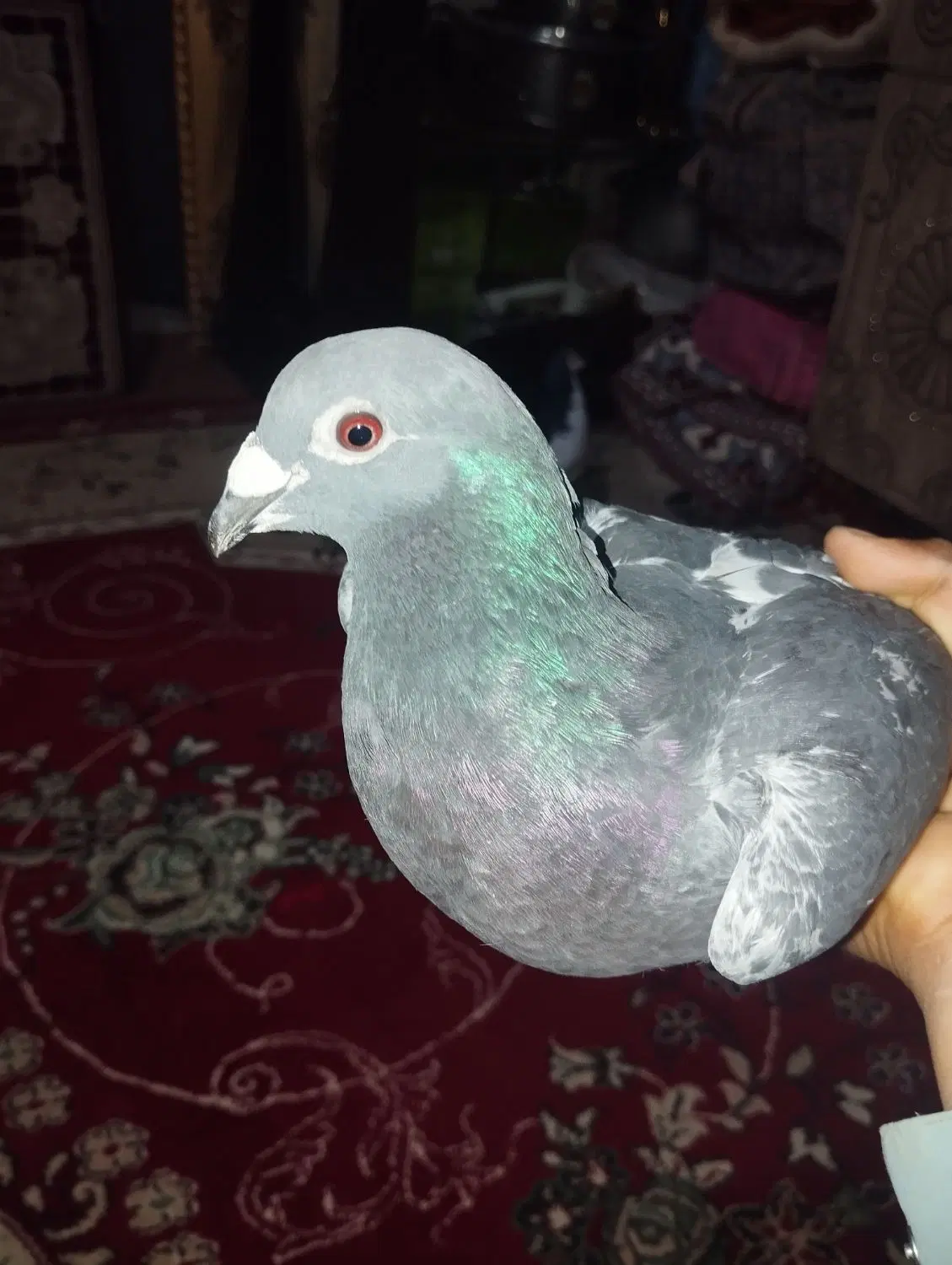 09014638971|سیمکارت|زاهدان, |دیوار