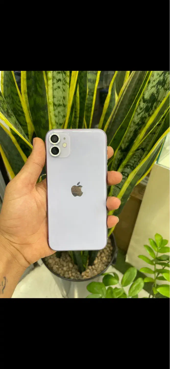 ایفون ۱۱|موبایل|ورامین, ورامین|دیوار