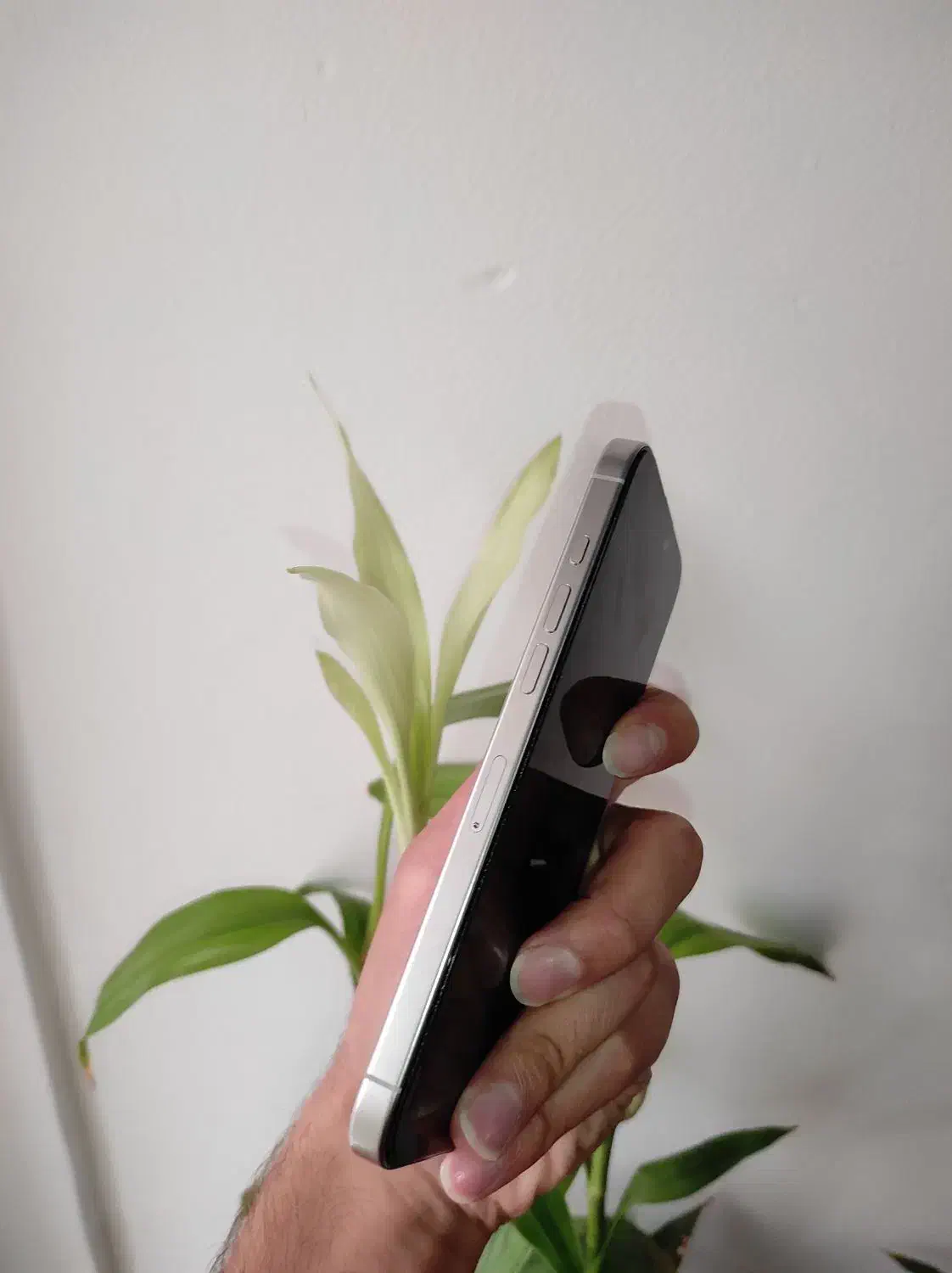 16 پرومکس ۲۵۶ Zaa باطری ۹۸|موبایل|گرگان, |دیوار