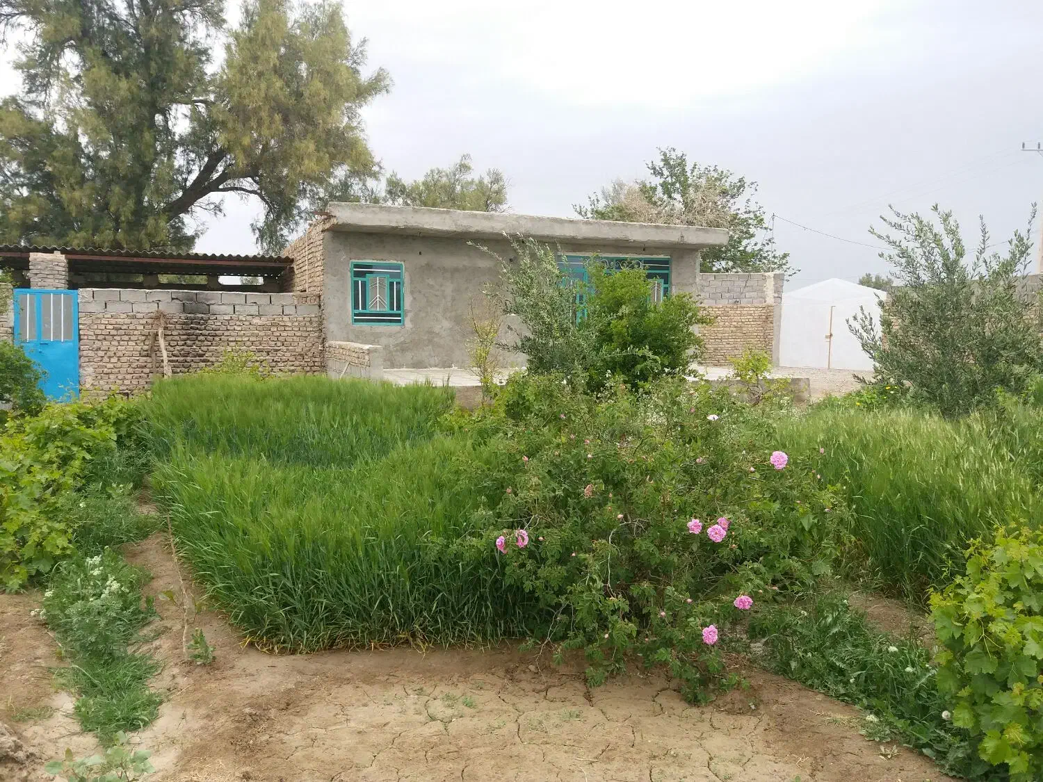 باغ ویلا محمدآباد|فروش خانه و ویلا|زابل, |دیوار