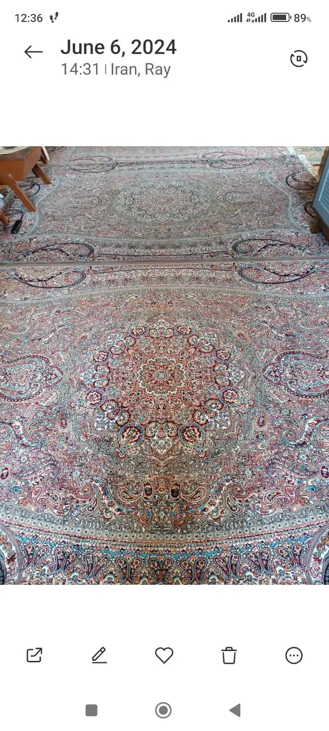 دو تخته فرش ۶متری|فرش|باقرشهر, |دیوار