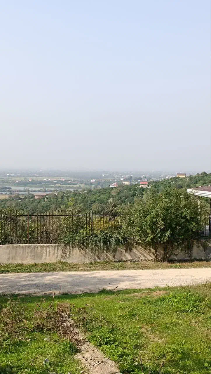 زمین باغ ویودار بزچفت بابلکنار|فروش زمین و ملک کلنگی|بابل, |دیوار