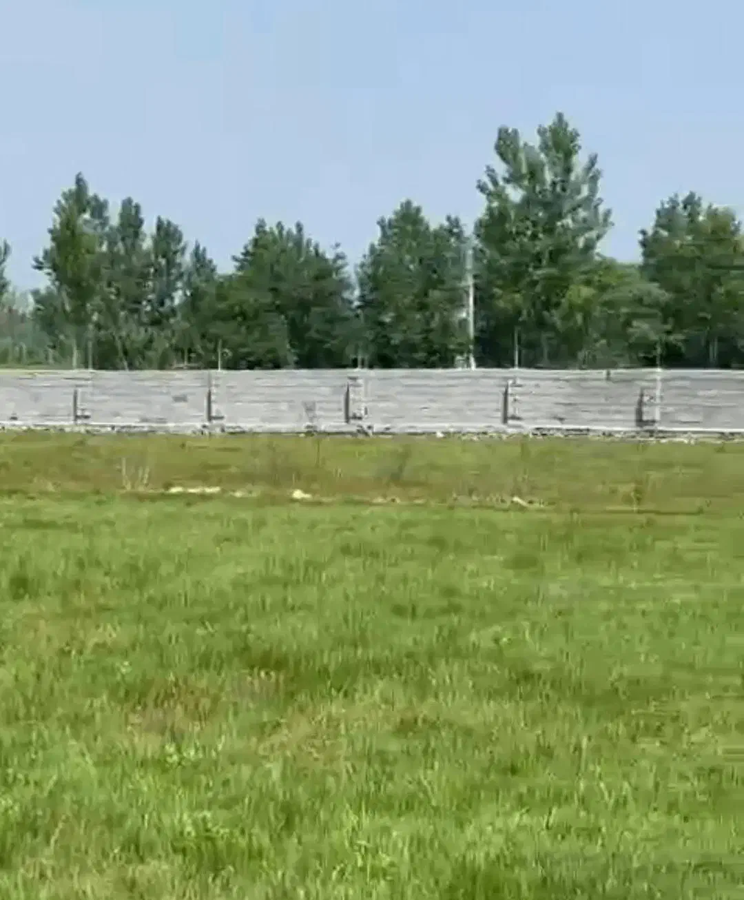 زمین ۶۴۰۰متری با مجوز دامداری/دور محصور|فروش زمین و ملک کلنگی|نوشهر, |دیوار