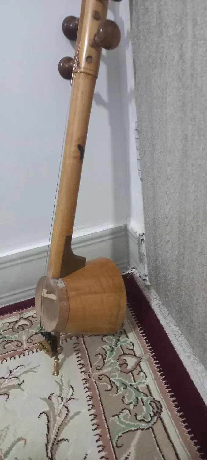 ساز|سازهای سنتی|نورآباد, |دیوار