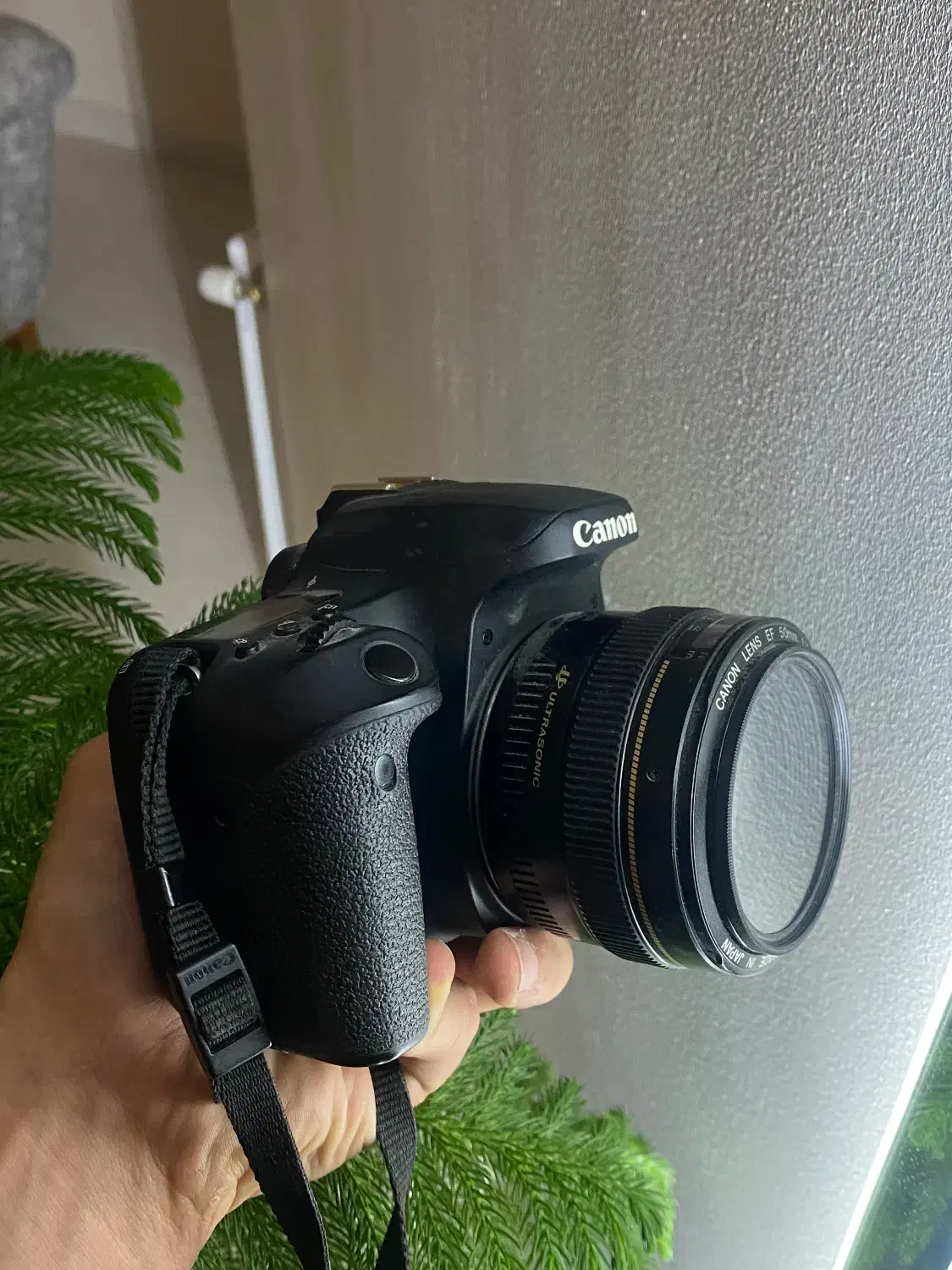 دوربین Canon EOS 77D|دوربین عکاسی و فیلم‌برداری|شیراز, شهرک برف فروشان|دیوار