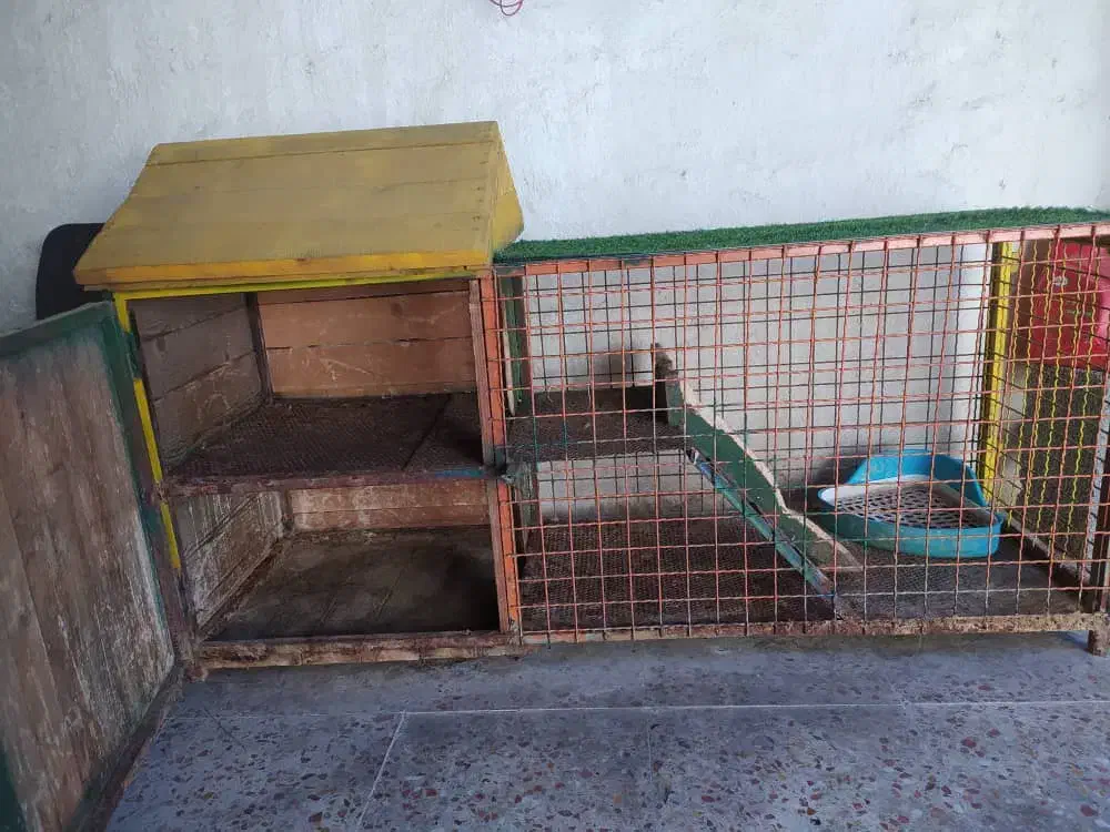 لانه حیوانات|لوازم جانبی حیوانات|رشت, جانبازان|دیوار