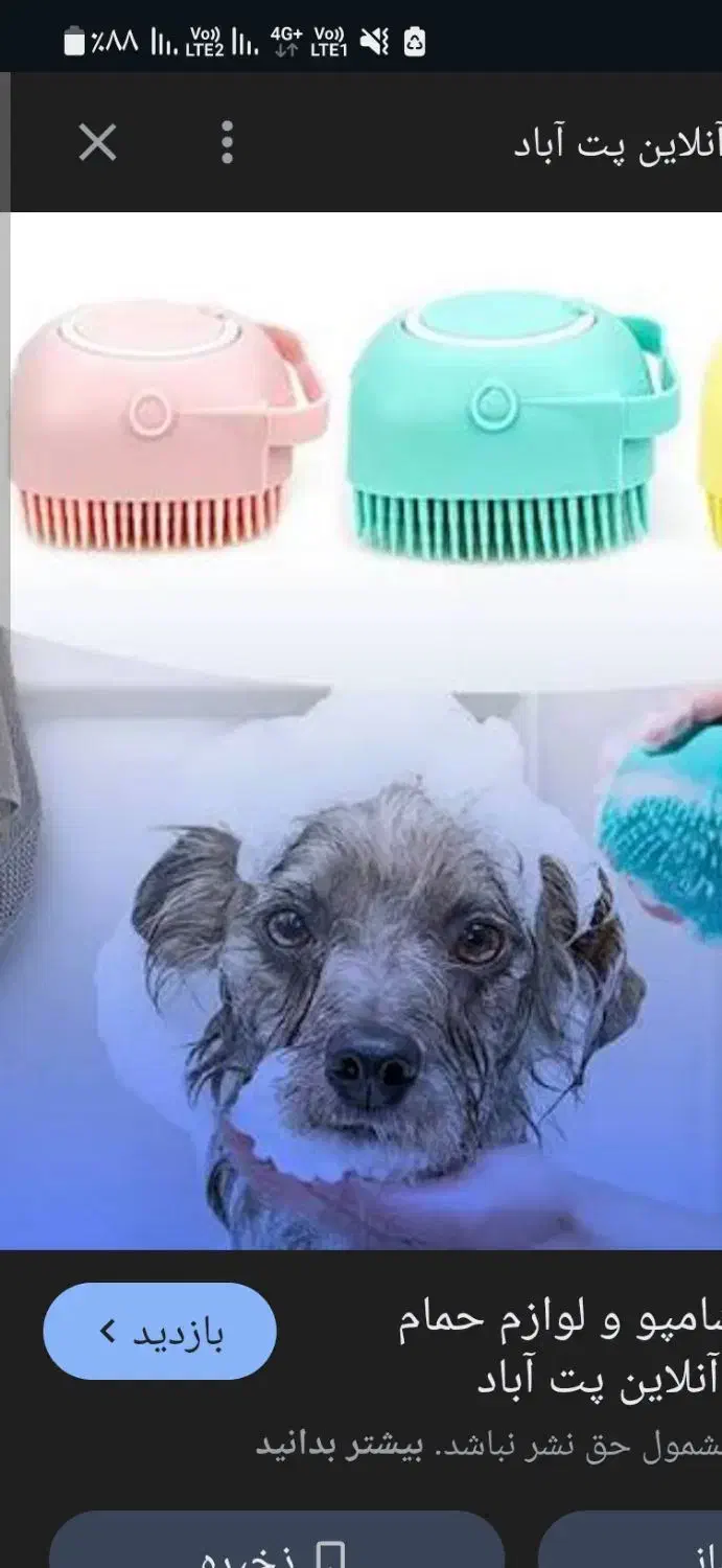 وسایل سگ|لوازم جانبی حیوانات|باغستان, |دیوار