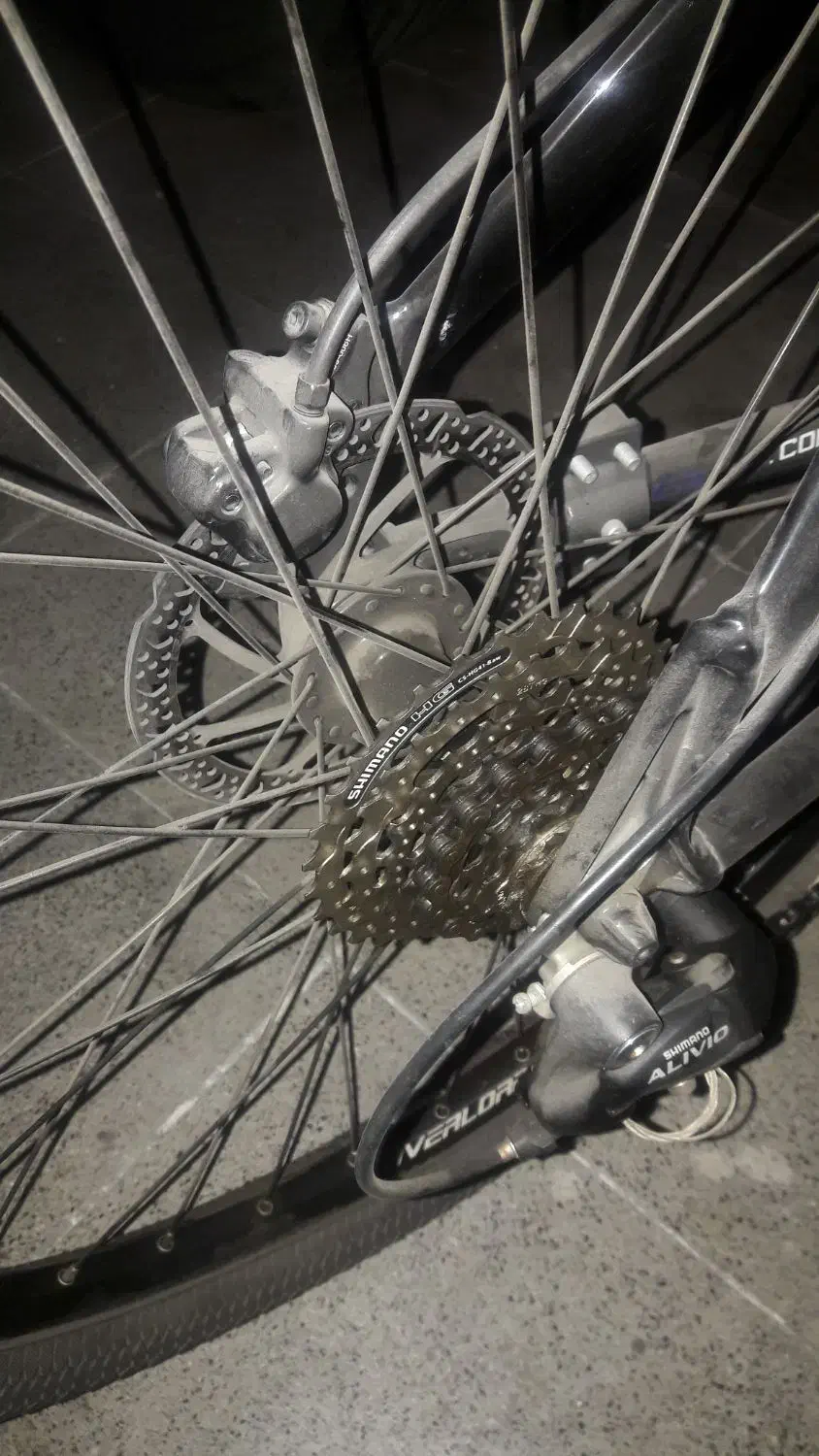 دوچرخه ترمز هیدرولیکی اصل|دوچرخه، اسکیت، اسکوتر|قرچک, مهدیه|دیوار