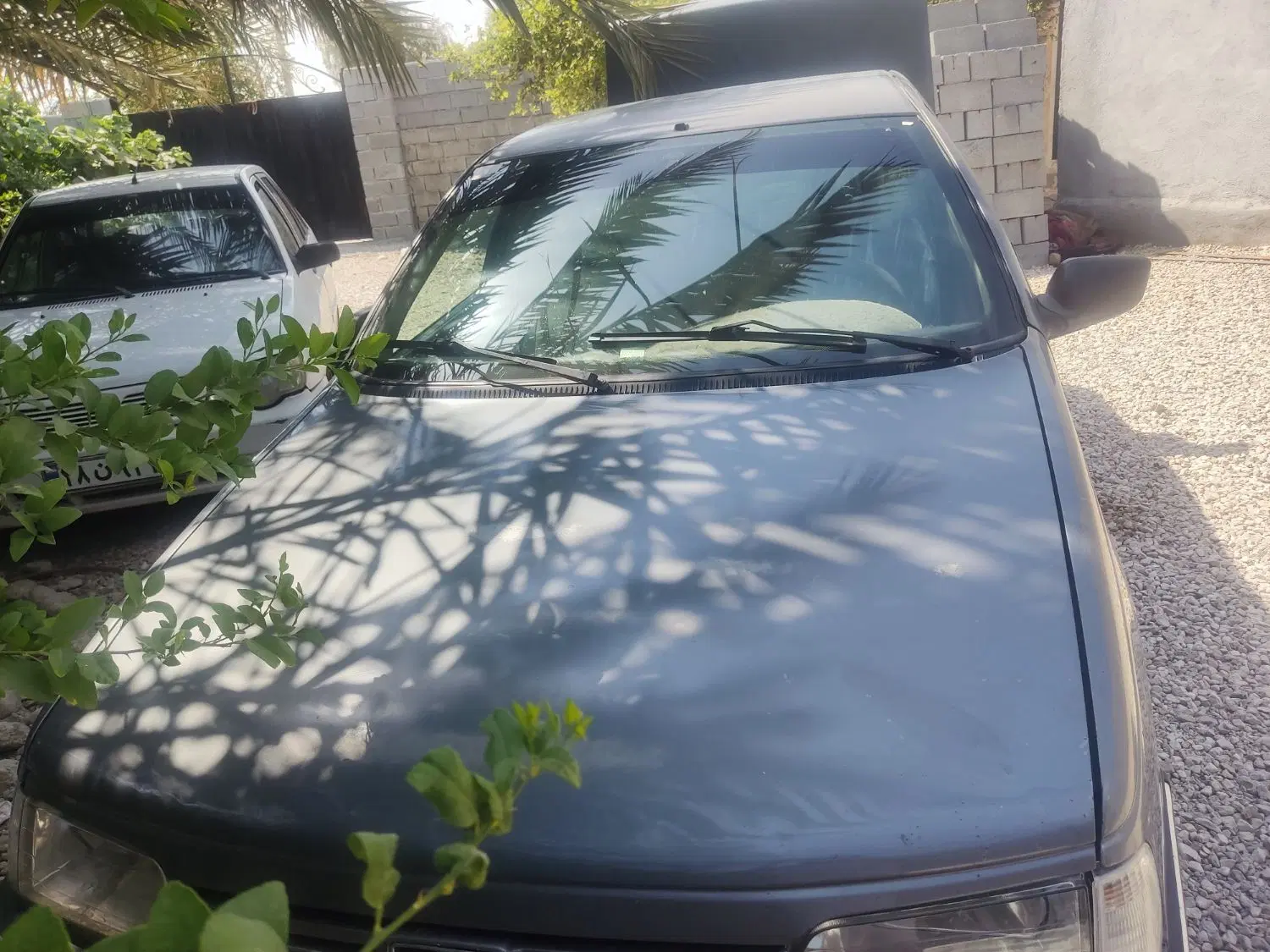 پژو405|خودرو سواری و وانت|بندرعباس, |دیوار
