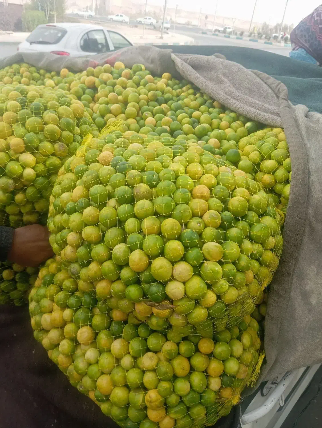 لیمو ترش لیمو آبدار|عمده‌فروشی|زارچ, |دیوار