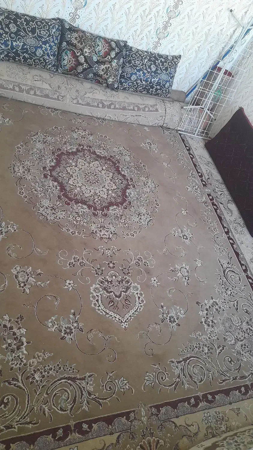 فروشی|فرش|تربتحیدریه, هاشمینژاد|دیوار