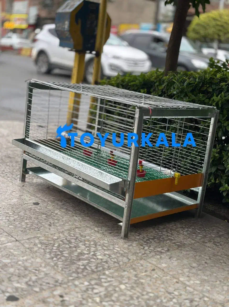 *برای %اکبرجوجه با قفس جوجه + قفس مرغ گوشی|لوازم جانبی حیوانات|فریدونکنار, |دیوار