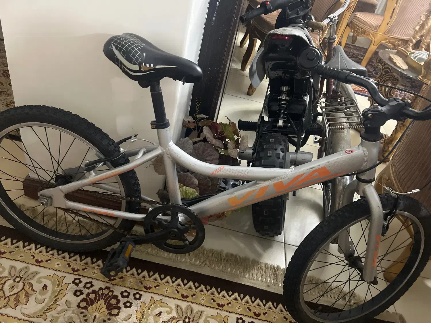 دوچرخه VIVA اصل|دوچرخه، اسکیت، اسکوتر|تهران, آرژانتین|دیوار