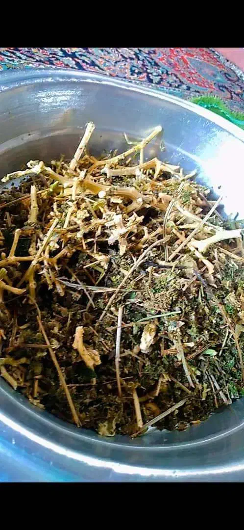 گیاهان سرحدی|خوردنی و آشامیدنی|فسا, |دیوار