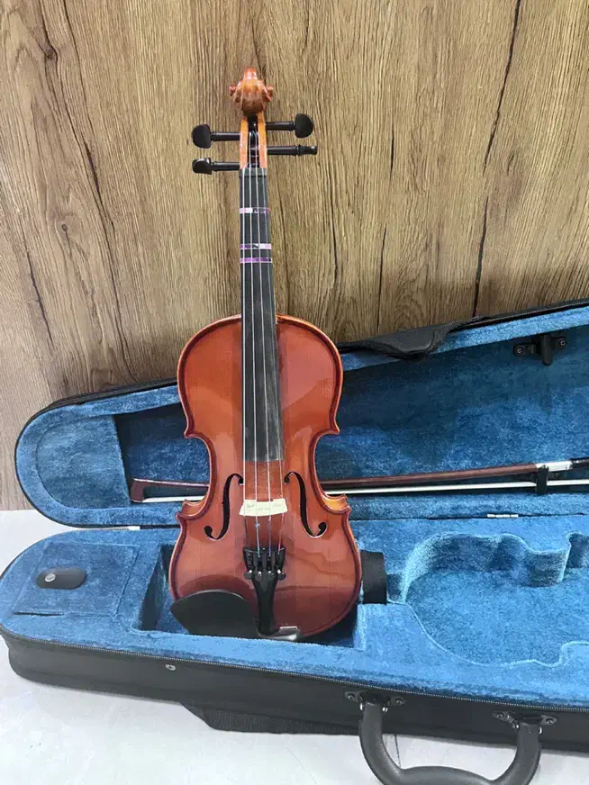 ویولن TF 142|ویولن|بندرعباس, |دیوار