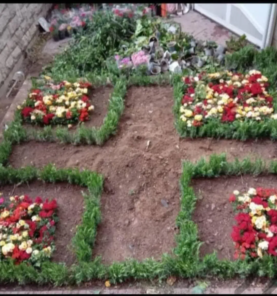 خدمات باغبانی باغچه کاری کاشت گل تعویض خاک گلدون|خدمات باغبانی و درختکاری|تهران, تهرانپارس شرقی|دیوار