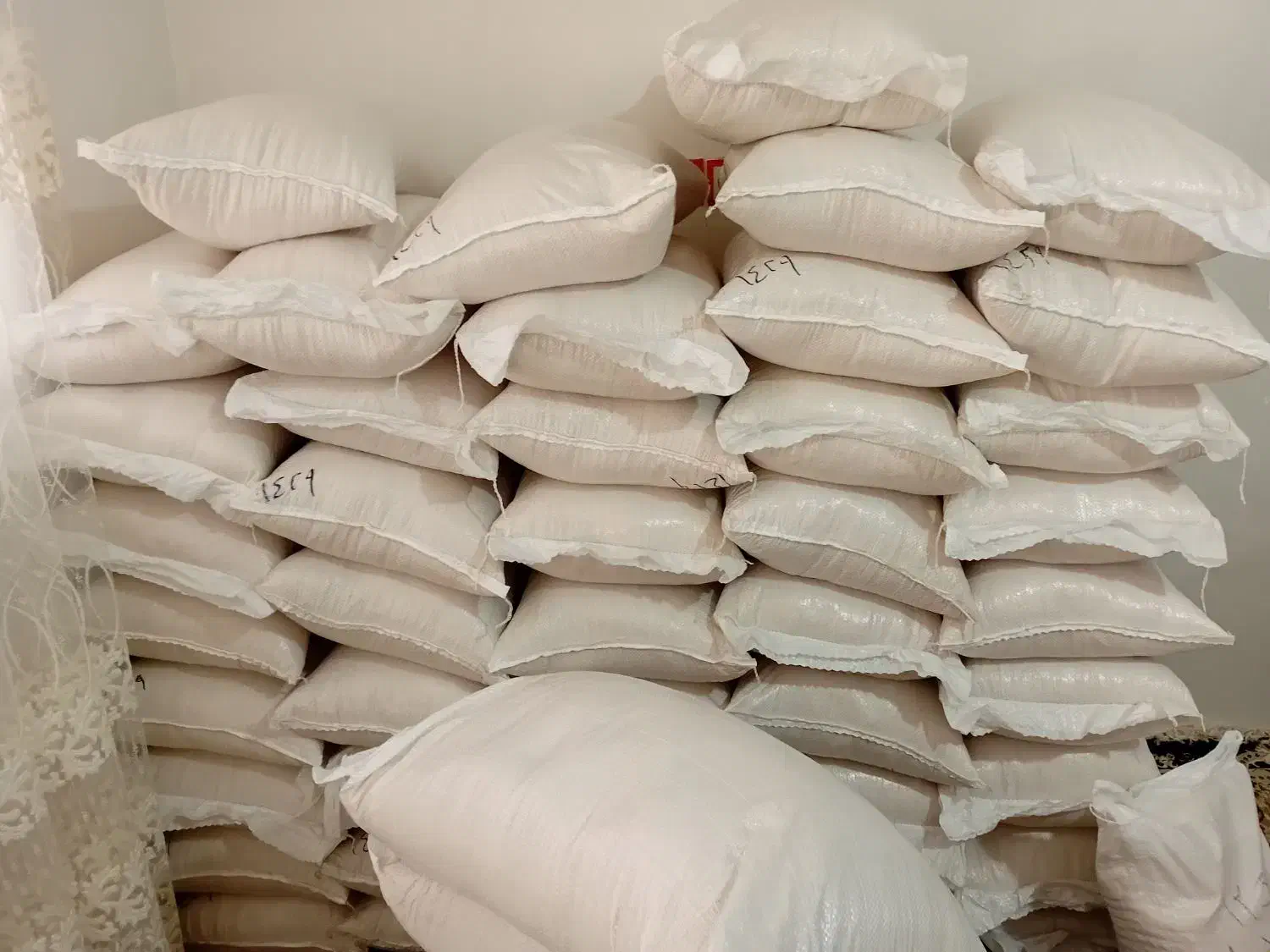 برنج فجر سوزنی در جه یک|عمده‌فروشی|کردکوی, |دیوار