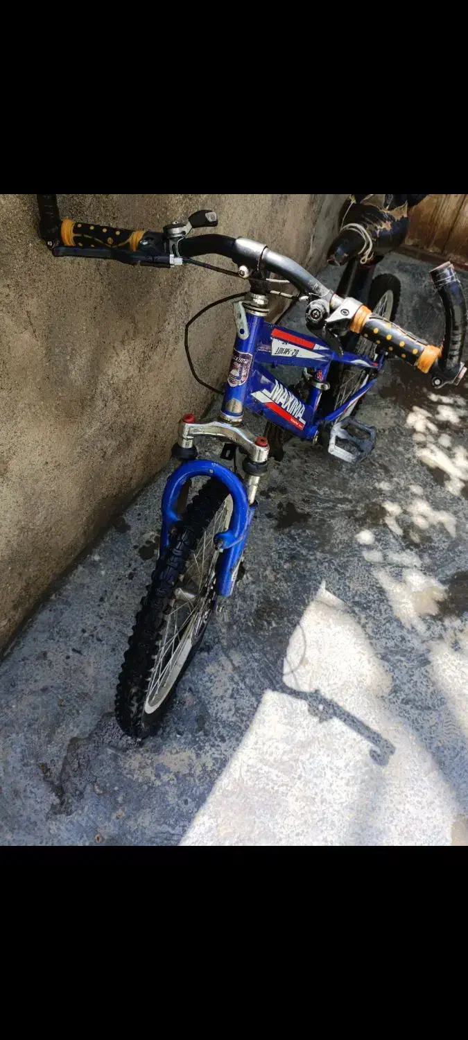 دوچرخه ماکسیما|دوچرخه، اسکیت، اسکوتر|موچش, |دیوار