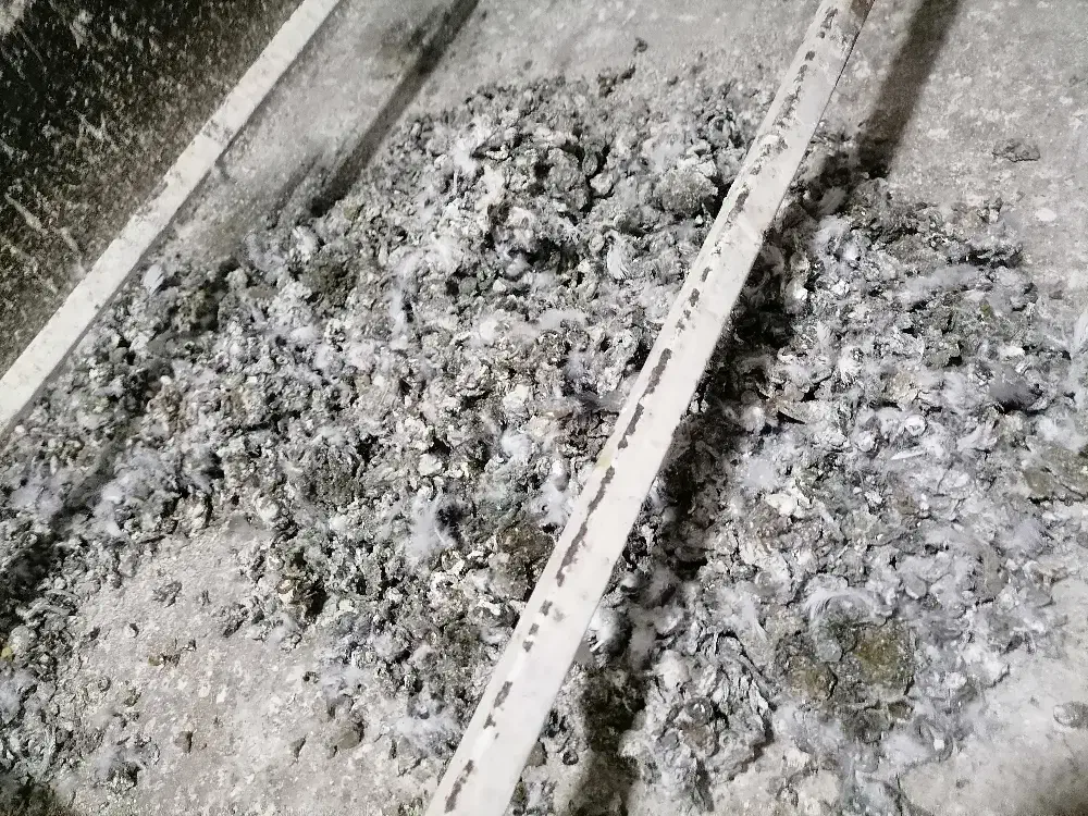 کود کبوتر.کود حیوانی.باغبانی|گل و گیاه طبیعی|تربتحیدریه, باغ ملی|دیوار