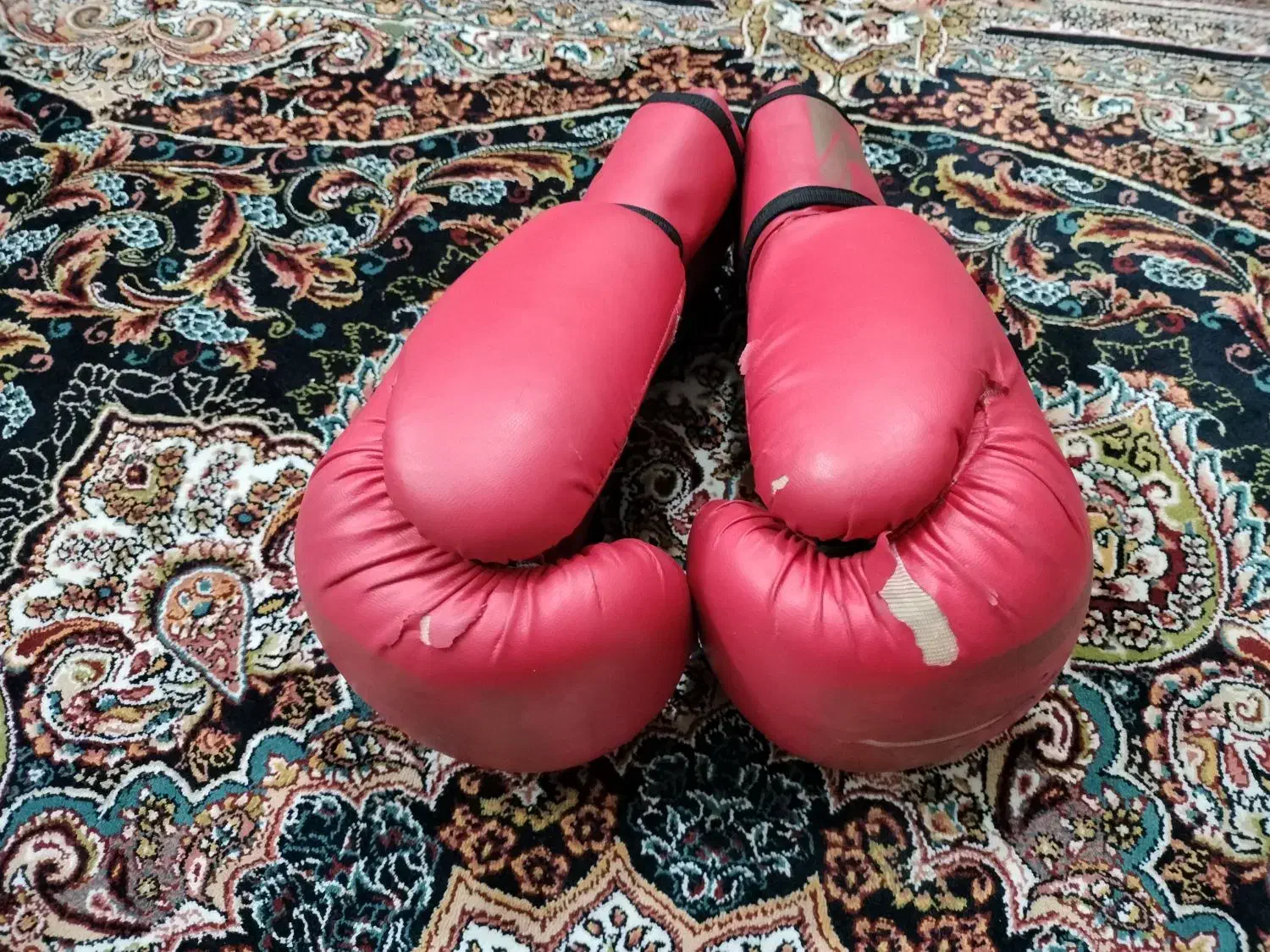 دستکش بوکس وِنوم|تجهیزات ورزشی|تهران, بریانک|دیوار