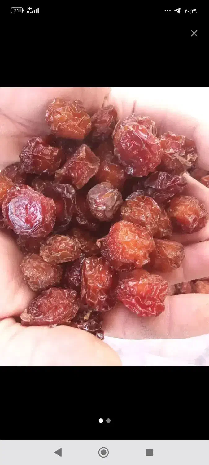 آلوچه|خوردنی و آشامیدنی|مرند, |دیوار