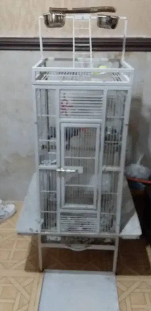 قفس طوطی کاسکو|لوازم جانبی حیوانات|آبادان, |دیوار