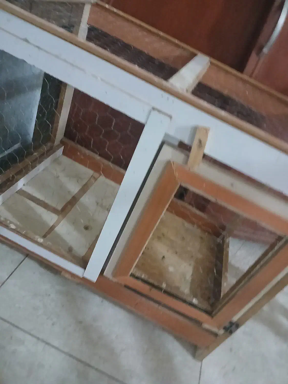 قفس کبوتر|لوازم جانبی حیوانات|اردبیل, |دیوار