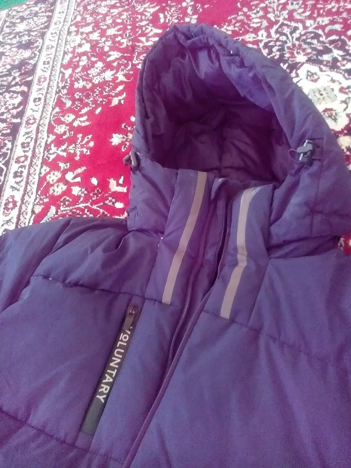 کاپشن پر سنگین|لباس|شیروان (خراسان), |دیوار