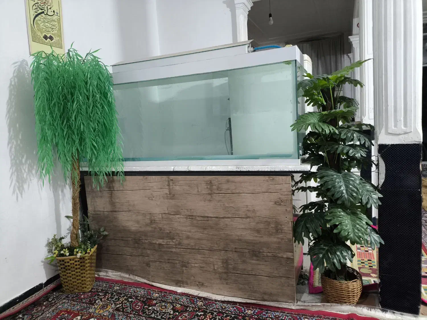 آکواریوم|ماهی|خرم‌آباد, |دیوار