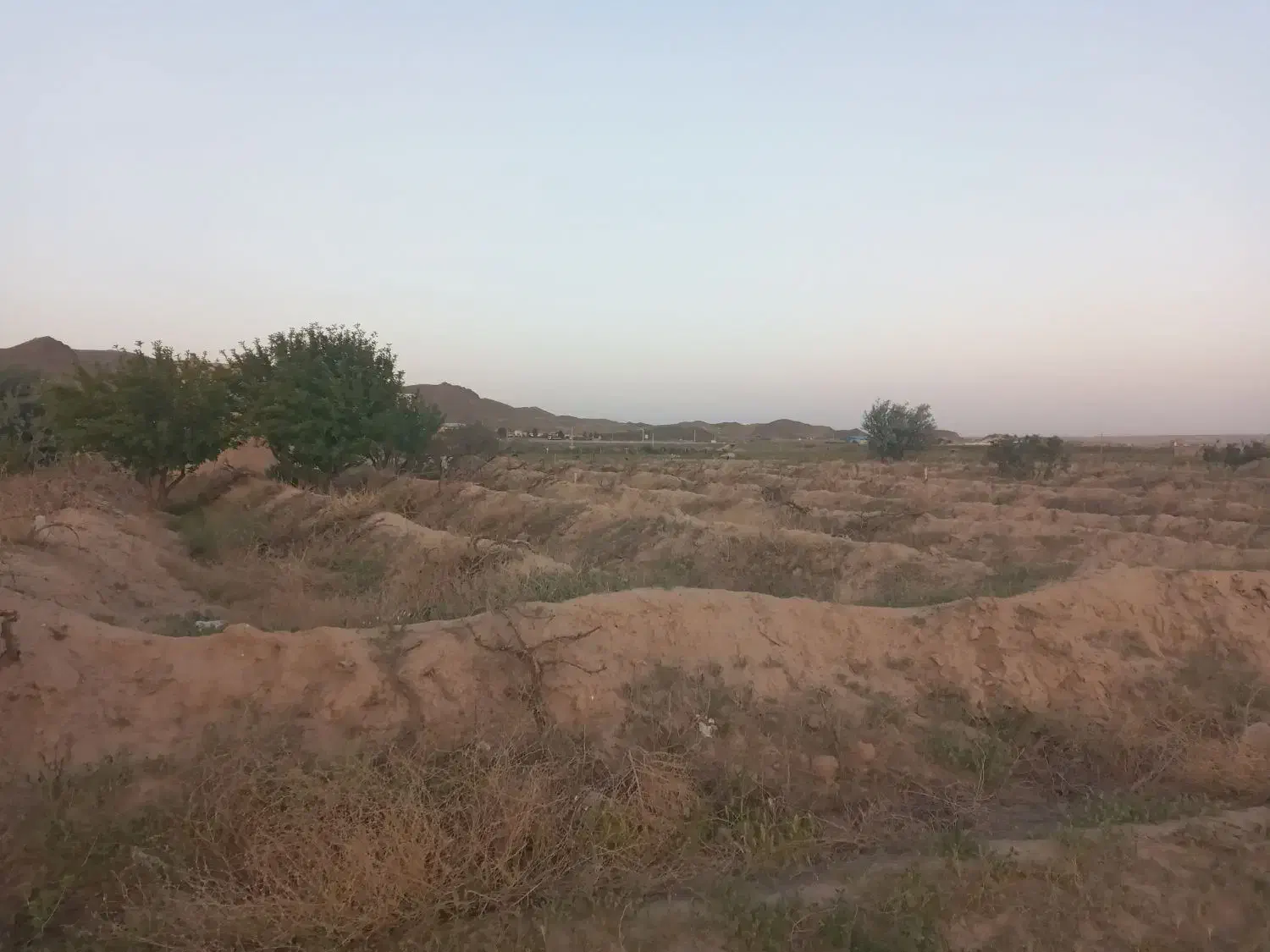 فروش زمین کشاورزی|فروش دفتر صنعتی، کشاورزی، تجاری|بناب, |دیوار